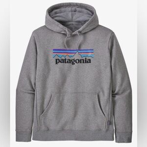 Patagonia Gray Men's Hoodie